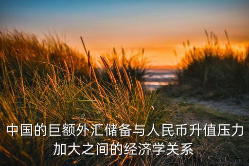 中國的巨額外匯儲備與人民幣升值壓力加大之間的經濟學關系