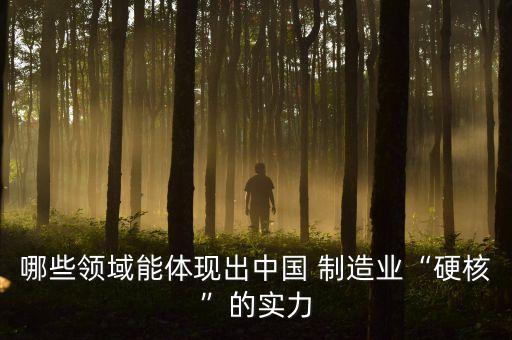 哪些領域能體現出中國 制造業“硬核”的實力