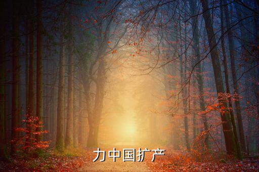 倍耐力中國擴產