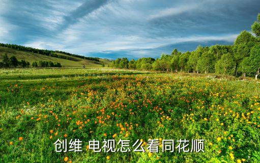 創維 電視怎么看同花順