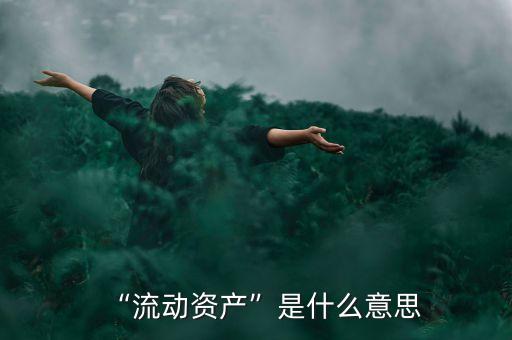 “流動資產”是什么意思