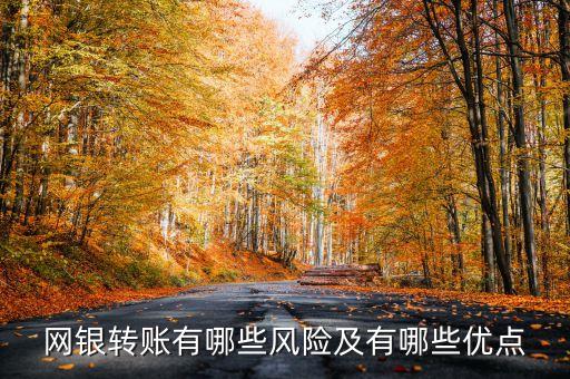 網銀轉賬有哪些風險及有哪些優點