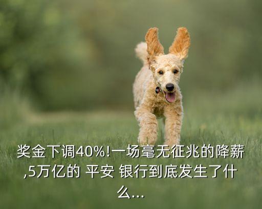 獎金下調40%!一場毫無征兆的降薪,5萬億的 平安 銀行到底發生了什么...