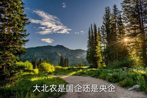  大北農是國企還是央企