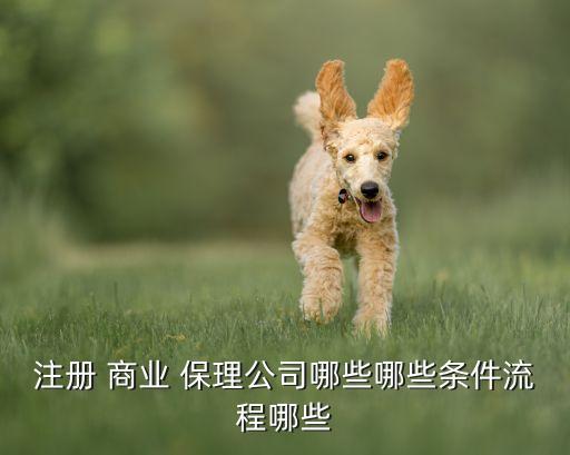 融信國際商業保理有限公司