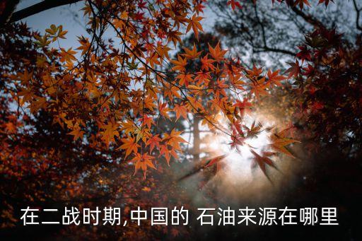 在二戰(zhàn)時(shí)期,中國的 石油來源在哪里
