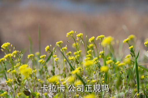  卡拉卡 公司正規嗎