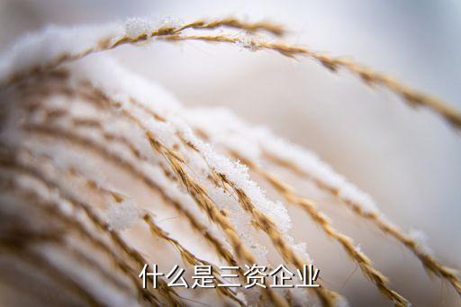 三類公司,音樂產業主要包含三類公司