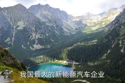 我國最大的新能源汽車企業
