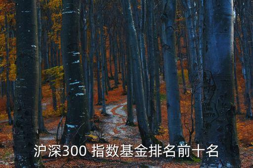 國泰基金國債etf跟蹤的指數