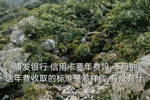  浦發銀行 信用卡要年費嗎,一般的話年費收取的標準是怎樣的,有沒有什么...