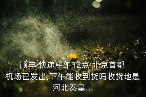  順豐 快遞中午12點 北京首都 機場已發出,下午能收到貨嗎收貨地是河北秦皇...