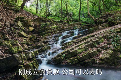 一起好金融公司好不好,大連一起網科金融公司
