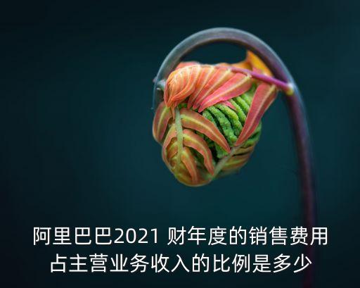 中國企業財年與自然年不一致