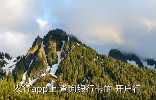 農行app上 查詢銀行卡的 開戶行