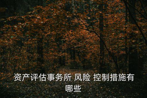  資產評估事務所 風險 控制措施有哪些