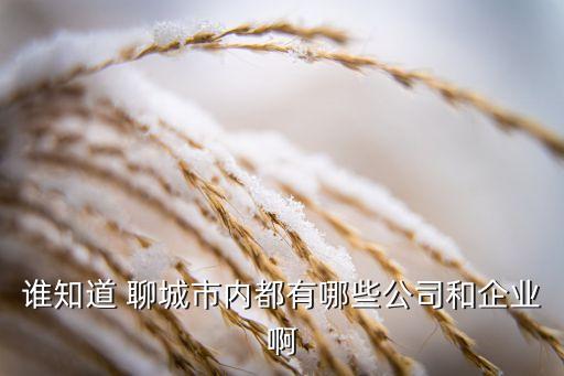 誰知道 聊城市內都有哪些公司和企業啊