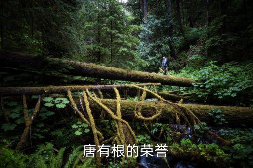 2013中國有色金屬科技進步獎,有色金屬協會科技進步獎