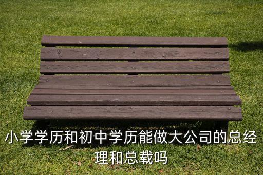 小學學歷和初中學歷能做大公司的總經理和總載嗎