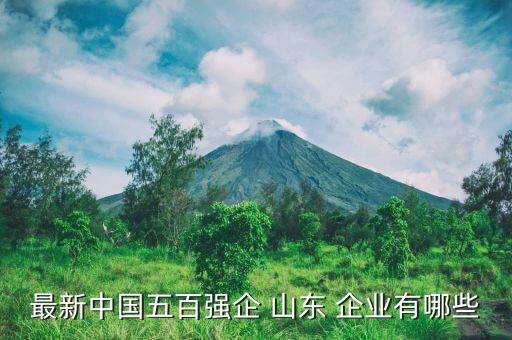 中國500強企業山東名單,山東世界500強企業有哪些