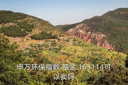 申萬環保指數 基金 163114可以賣嗎
