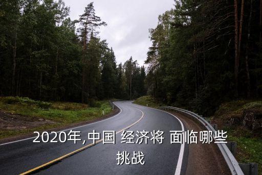 中國面臨的經濟挑戰,經濟高質量發展面臨的挑戰