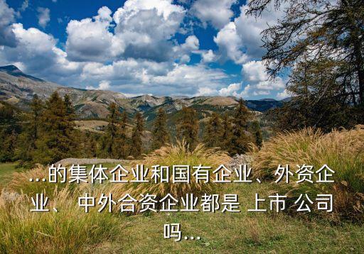中外合資公司可以上市嗎,合資公司上市的優缺點