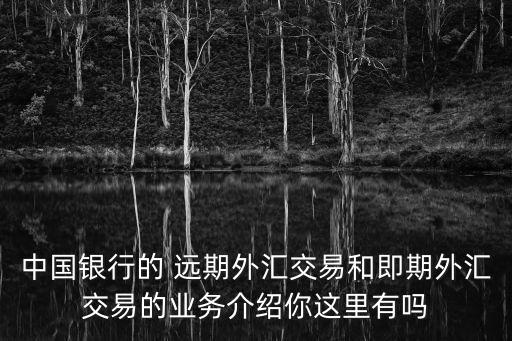 中國銀行的 遠期外匯交易和即期外匯交易的業務介紹你這里有嗎
