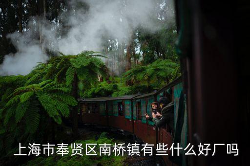  上海市奉賢區南橋鎮有些什么好廠嗎