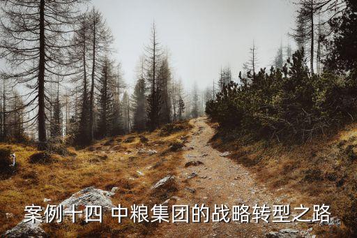 中糧并購公司,中糧地產并購大悅城