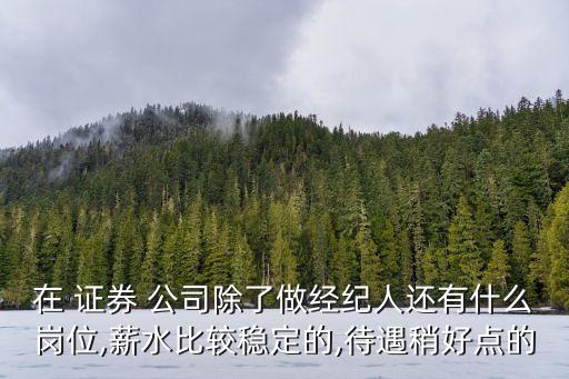 在 證券 公司除了做經紀人還有什么崗位,薪水比較穩定的,待遇稍好點的