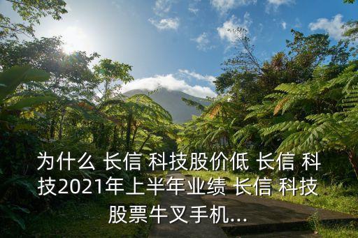 為什么 長信 科技股價低 長信 科技2021年上半年業績 長信 科技股票牛叉手機...