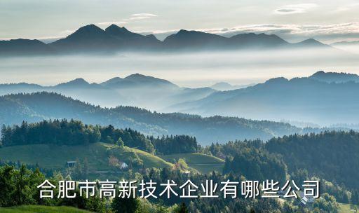 上海瀛聯體感智能科技有限公司