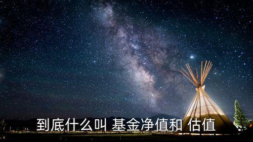 基金估值調整是什么意思,基金的pe估值是什么意思