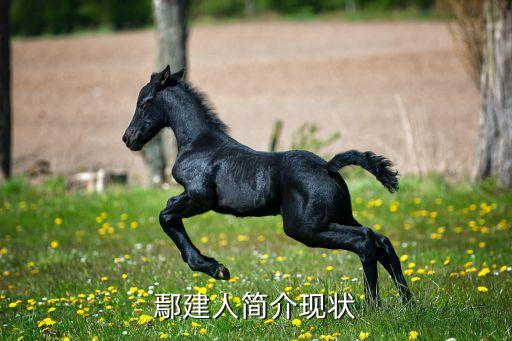 鄢建人簡介現狀