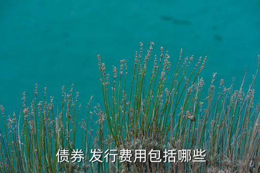  債券 發行費用包括哪些