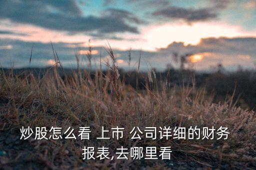 上市公司報表數據
