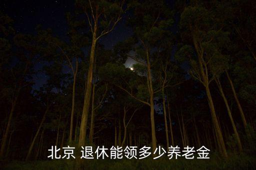  北京 退休能領多少養老金