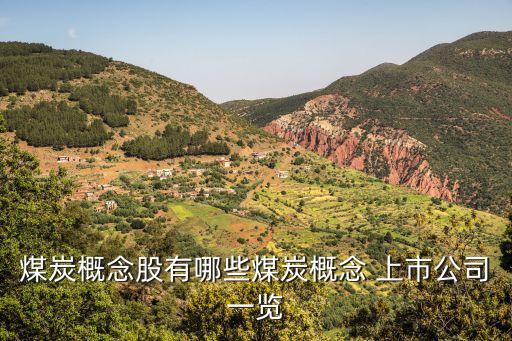 標準工業集團整體上市,2023光大集團整體上市