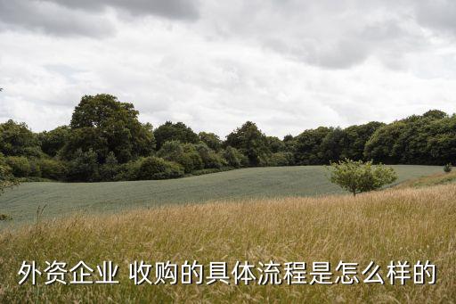 外資企業 收購的具體流程是怎么樣的