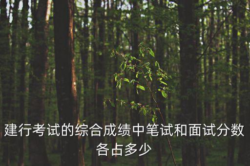 建行考試的綜合成績中筆試和面試分數各占多少