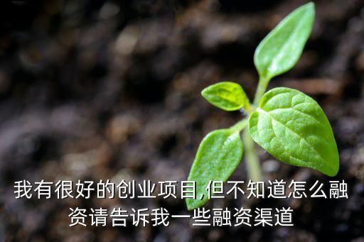 我有很好的創業項目,但不知道怎么融資請告訴我一些融資渠道