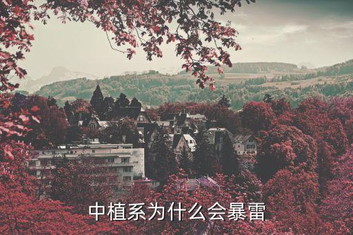 中國有專為中產階級理財的公司嗎