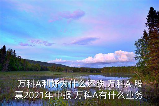  萬科A利好為什么還跌 萬科A 股票2021年中報 萬科A有什么業務