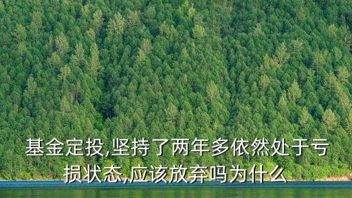  基金定投,堅持了兩年多依然處于虧損狀態,應該放棄嗎為什么