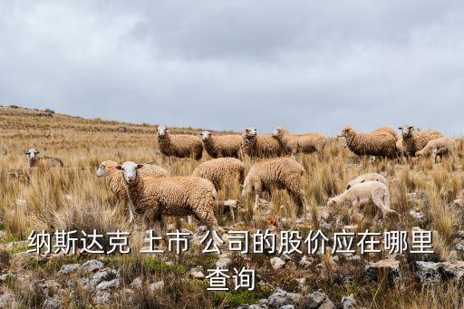 上市公司動向網,女游網是上市公司嗎