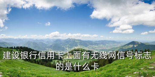 visa銀行卡芯片卡,農業銀行卡visa是什么卡