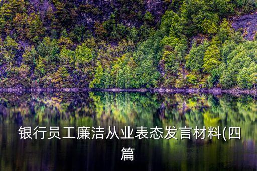  銀行員工廉潔從業表態發言材料(四篇