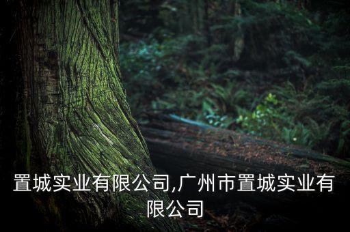 江西置城實業有限公司,廣州市置城實業有限公司