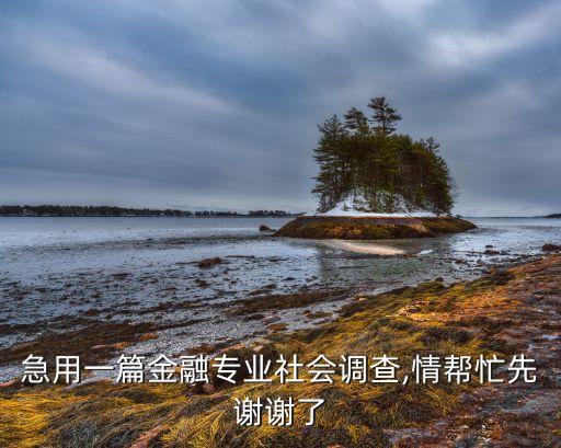 急用一篇金融專業社會調查,情幫忙先謝謝了